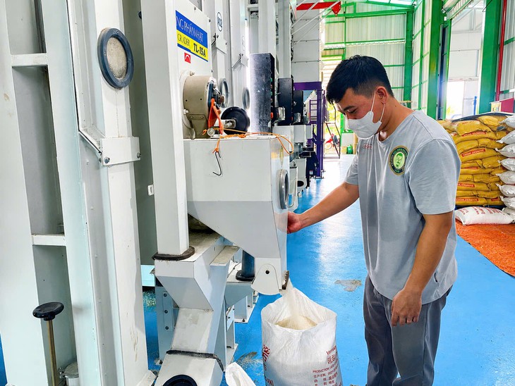Ông Hồ Quang Cua: ‘Tôi muốn chung tay xây dựng thương hiệu gạo Việt Nam’ - Ảnh 2.