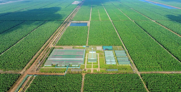 Công ty đại gia Khoa 'Khàn' muốn huy động 1.000 tỉ đồng trái phiếu, thế chấp gần 165 triệu cổ phần Thaco Agri? - Ảnh 1.