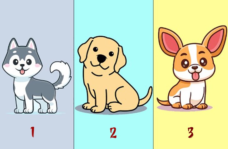 Quiz: Mức độ tự chủ của bạn tới đâu? - Ảnh 1.