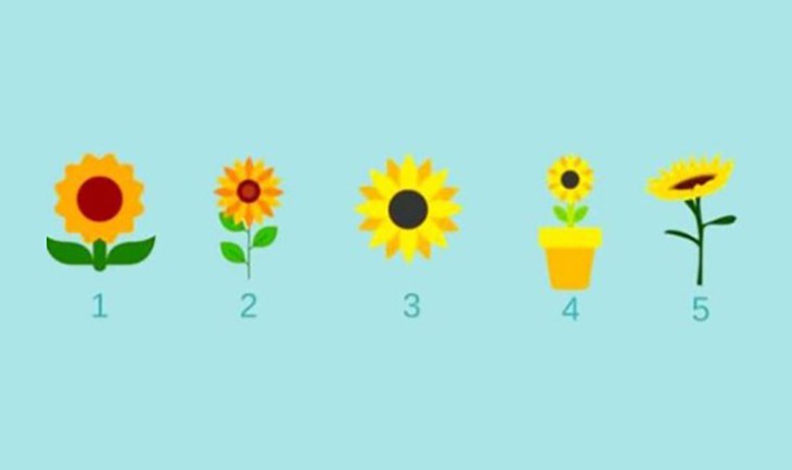 Quiz: Những bí mật sâu kín nhất của tâm hồn bạn - Ảnh 1.