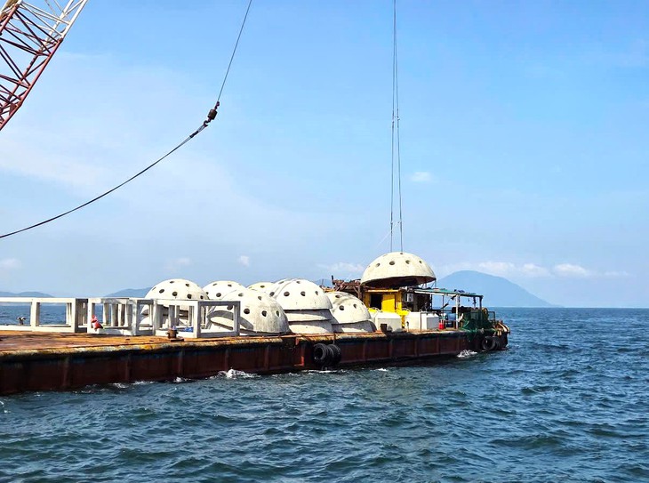 Dùng tiền bồi thường của Formosa làm khối rạn nhân tạo thả xuống biển để tái tạo nguồn lợi thủy sản - Ảnh 1.