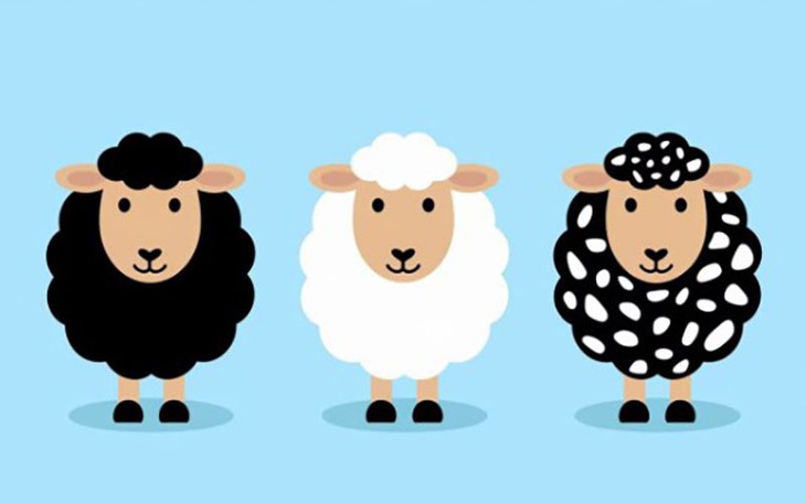 Quiz: Bạn là người năng động, dễ thích nghi? - Ảnh 3.