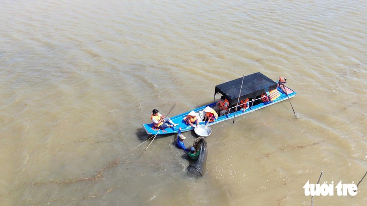 Loay hoay với ghe cá mùa nước nổi - Ảnh 3.