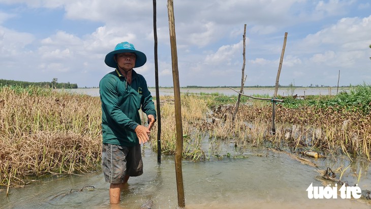 Loay hoay với ghe cá mùa nước nổi - Ảnh 4.