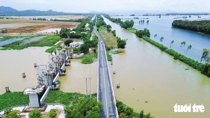 Loay hoay với ghe cá mùa nước nổi - Ảnh 7.