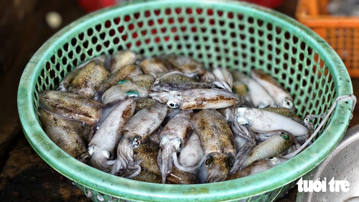 'Săn' mực đuổi là gì mà ngư dân kiếm được bạc triệu mỗi ngày? - Ảnh 6.