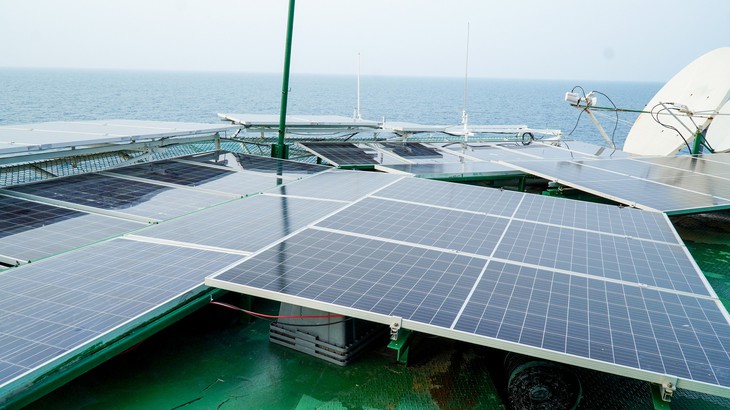 Trồng rau, nuôi gà vịt heo ở nhà giàn DK1/10 giữa trùng khơi - Ảnh 3.