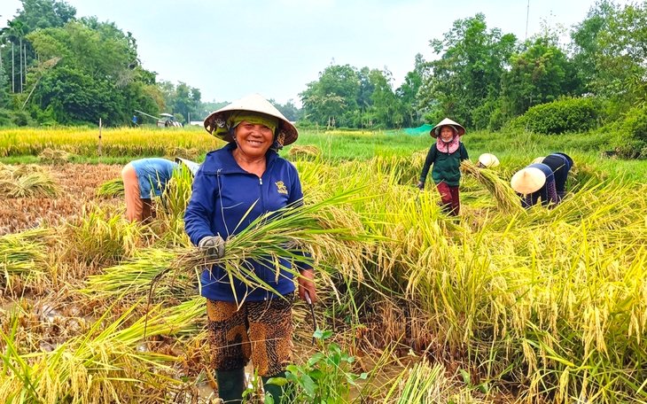 Mây dông đen kịt, thêm mây ẩm từ biển đi vào, TP.HCM là tâm mưa to tối nay - Ảnh 3.