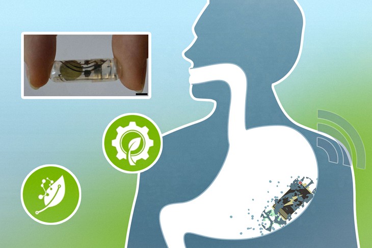 Pin giấy nuốt được cấp điện ba ngày trong dạ dày rồi dần tự tan - Ảnh 2.