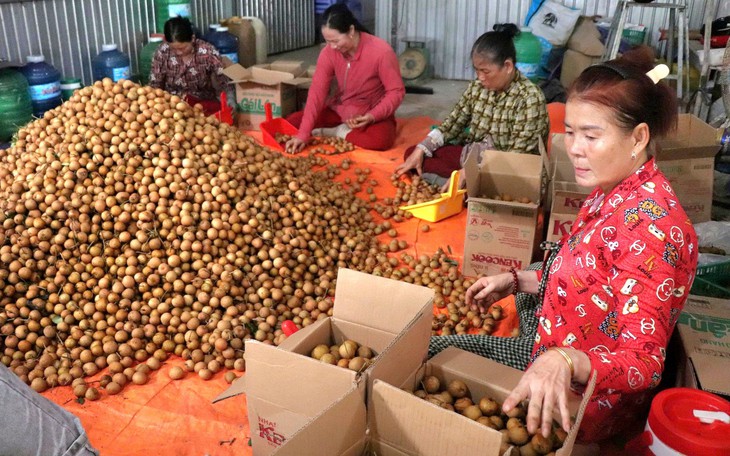 Thời tiết đẩy giá rau, thủy hải sản tăng, mít Thái phục hồi - Ảnh 4.