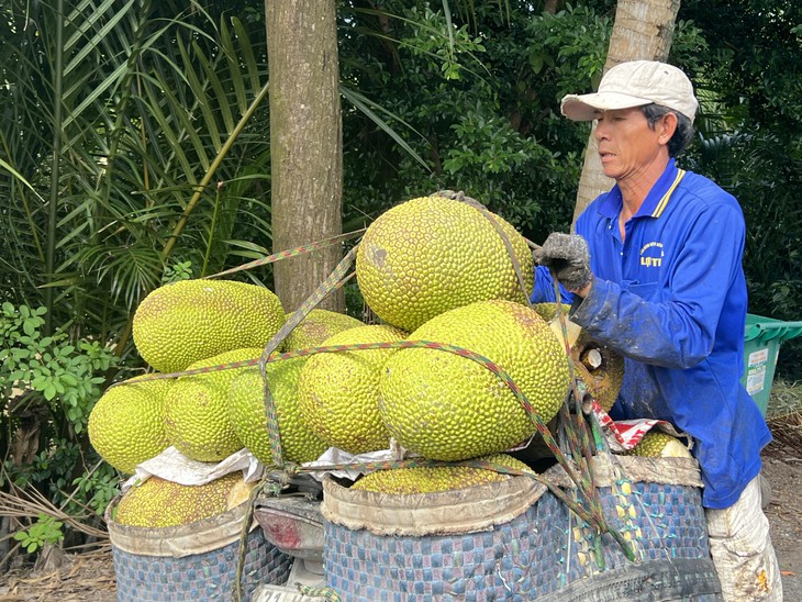 Giá cả đầu ngày: Thời tiết đẩy giá rau, thủy hải sản tăng, mít Thái phục hồi; lồng đèn thủ công lên ngôi - Ảnh 3.