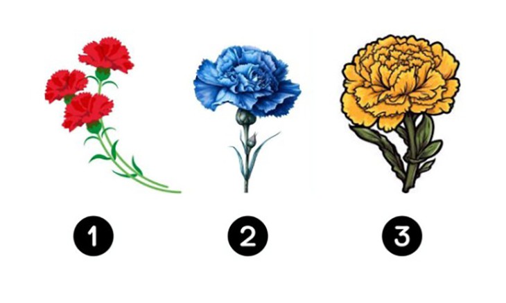 Quiz: Mọi người nghĩ gì về bạn? - Ảnh 1.