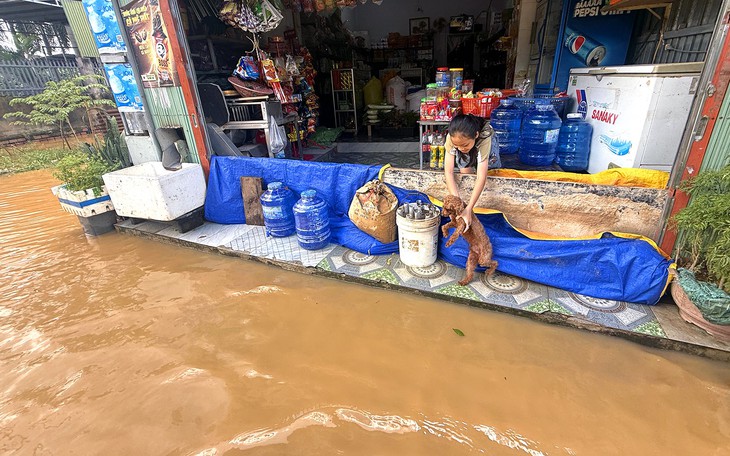 Ngập khu dân cư cạnh cao tốc: Chủ tịch Đồng Nai yêu cầu đánh giá lại hệ thống thoát nước - Ảnh 4.