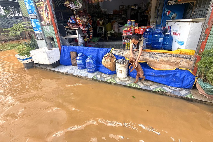 Lũ sông Buông tràn về, khu dân cư cạnh cao tốc ở Đồng Nai lại ngập - Ảnh 1.