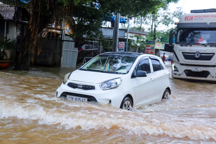 Mưa lũ ở Đồng Nai: Hơn 280 hộ dân bị ảnh hưởng, 115ha lúa và 41 ao cá ngập úng - Ảnh 1.