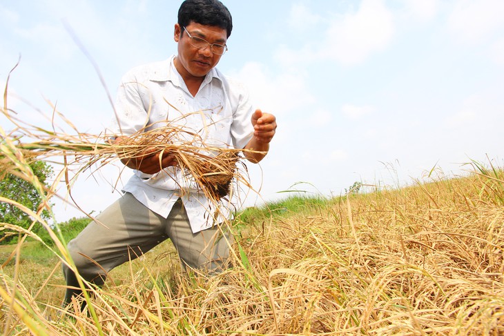 Giữa mùa nước nổi mà lo hạn mặn khốc liệt vì El Nino: Bài 3: Không để vào thế trở thay không kịp khi ứng phó hạn mặn - Ảnh 2.