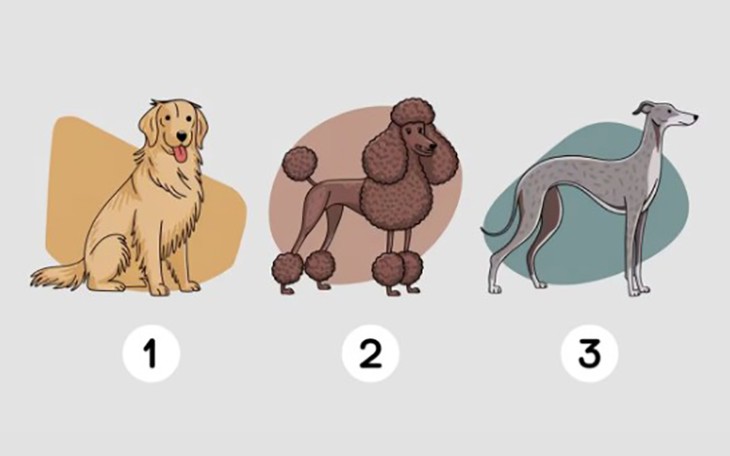 Quiz: Đặc điểm nổi bật của con người bạn là gì? - Ảnh 1.
