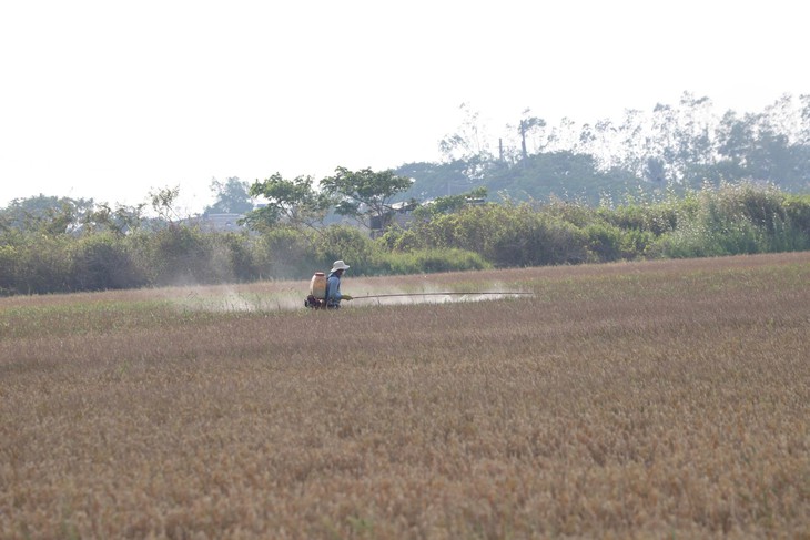 Giữa mùa nước nổi mà lo hạn mặn khốc liệt vì El Nino: Bài 3: Không để vào thế trở thay không kịp khi ứng phó hạn mặn - Ảnh 4.