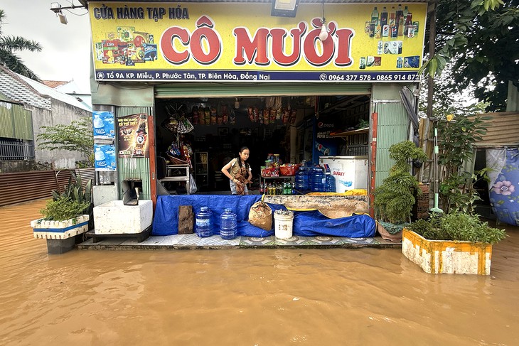 Mưa lũ liên tiếp, Đồng Nai yêu cầu chốt chặn điểm nguy hiểm, chủ động sơ tán dân - Ảnh 1.