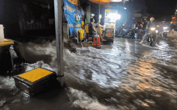 Ứng phó triều cường Đồng Tháp: Đóng cống dọc sông Tiền từ 26 đến 30 - 9 - Ảnh 3.