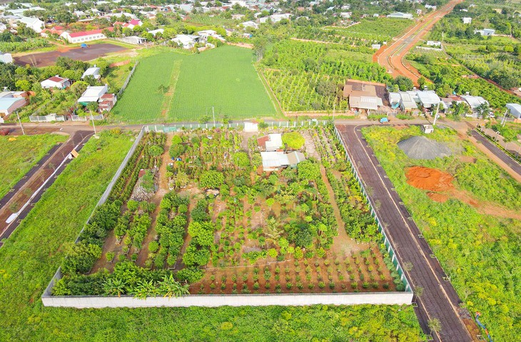 Làm rõ trách nhiệm vụ 3 người trúng đấu giá 205 lô đất, không thu hồi tiền cọc - Ảnh 1.