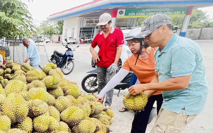 Dân Quảng Trị trồng thử sầu riêng, chất lượng trái ngang ngửa 'bản gốc' - Ảnh 5.