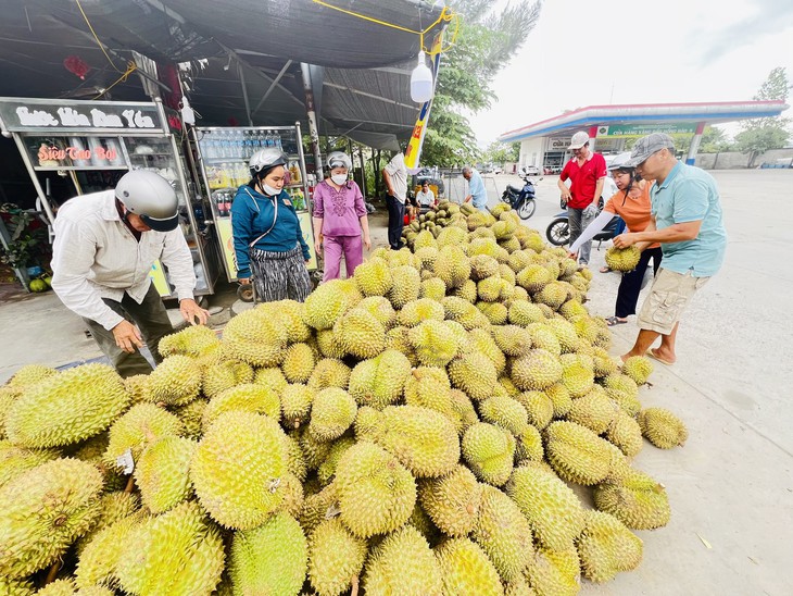Giá cả đầu ngày: Sầu riêng giảm giá nhẹ, gạo huyết rồng vẫn giữ đầu ra ổn định - Ảnh 1.