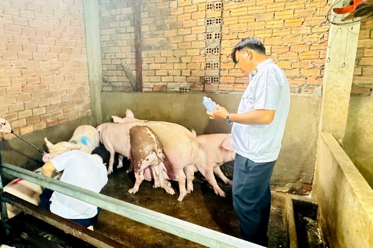 Liên tiếp phát hiện điểm giết mổ heo trái phép ở TP.HCM - Ảnh 1.