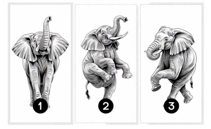 Quiz: Bạn nổi bật với điểm mạnh gì? - Ảnh 1.