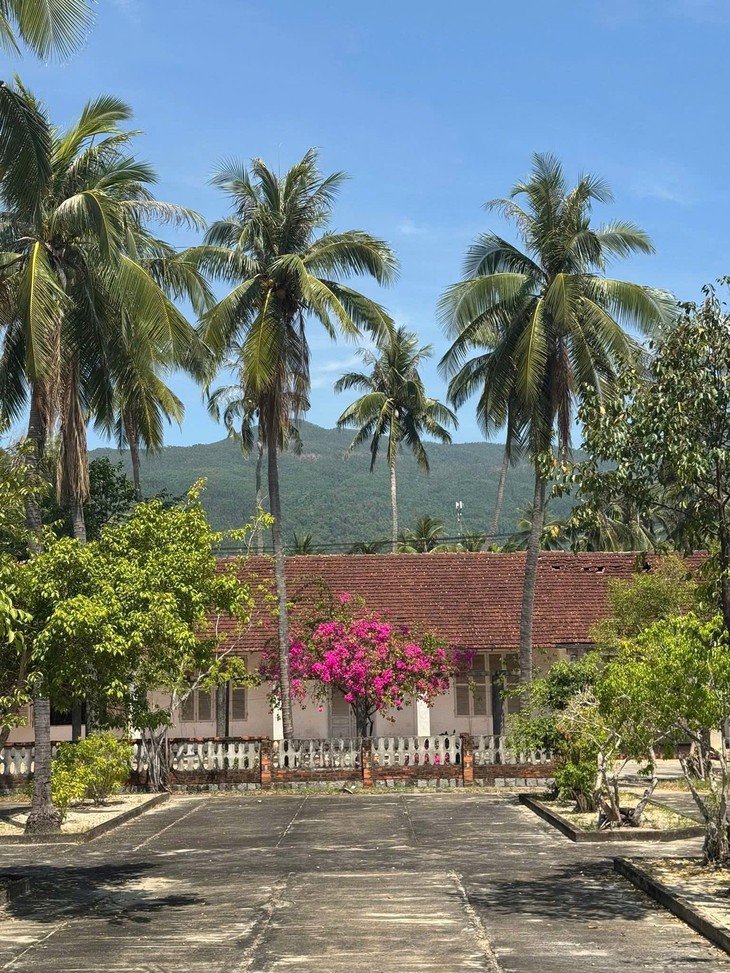 Đi tìm ký ức làng phong Quy Hòa trước ngày di dời - Ảnh 2.