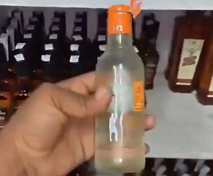 Cô khỉ mang thai uống vodka rồi ngủ quên trong cửa hàng - Ảnh 2.