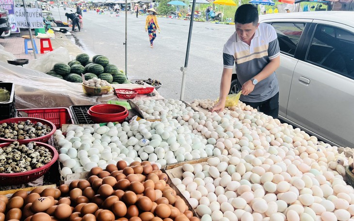 Giáá cả đầu ngày: Cá đồng, chuột đồng miền Tây giá cao giữa mùa nước nổi - Ảnh 3.