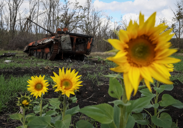 'Bóng ma' dưới cánh đồng hướng dương và vết thương chưa lành Ba Lan - Ukraine - Ảnh 1.