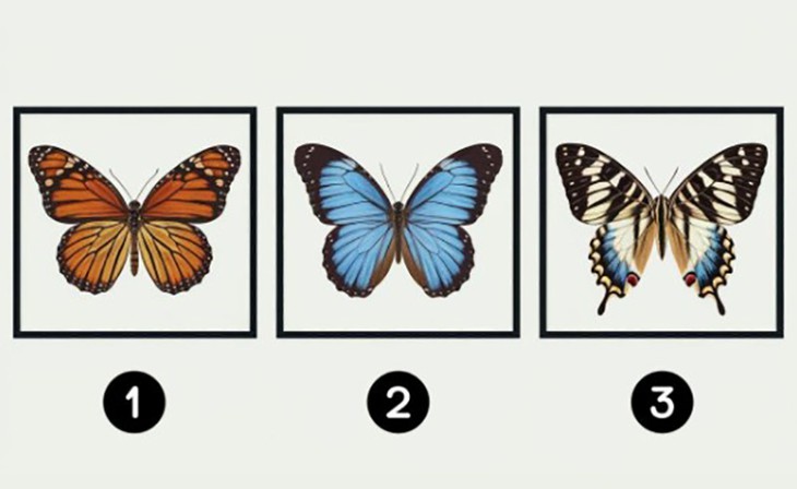 Quiz: Bạn thực sự là người thế nào? - Ảnh 1.