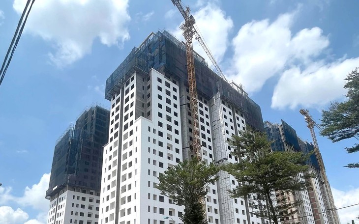 Nam Long nói gì sau loạt kết luận của Thanh tra Chính phủ? - Ảnh 3.