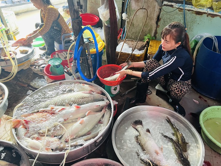 Giáá cả đầu ngày: Cá đồng, chuột đồng miền Tây giá cao giữa mùa nước nổi - Ảnh 1.
