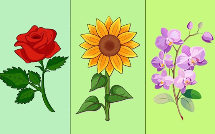 Quiz: Điều gì dễ khiến bạn cảm thấy ngại ngùng, xấu hổ? - Ảnh 2.