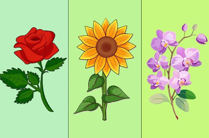 Quiz: Phẩm chất nào giúp bạn biến ước mơ thành hiện thực? - Ảnh 1.