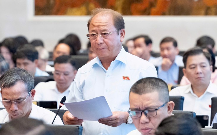 Đại biểu Quốc hội: Giá điện hợp lý không đồng nghĩa với giá điện thấp bằng mọi cách - Ảnh 4.