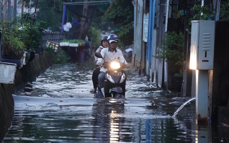 Ngã tư Nguyễn Văn Quỳ - Đào Trí ngập do triều cường, người dân dò dẫm né ổ gà, tránh xe container - Ảnh 6.