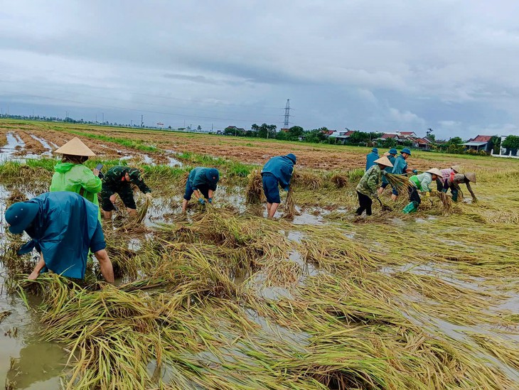 Trồng 2 sào lúa, nông dân ở Đắk Lắk tính lãi 35.000 đồng khiến nhiều người xót xa - Ảnh 5.