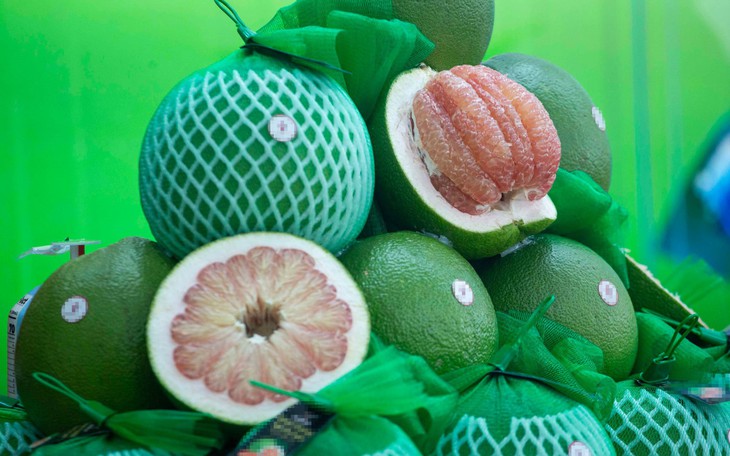 TP.HCM xúc tiến thương mại bằng AI và dữ liệu 'sống' - Ảnh 4.