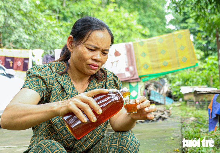 Bí quyết thuần dưỡng ong rừng Trường Sơn giúp người dân kiếm tiền triệu - Ảnh 5.
