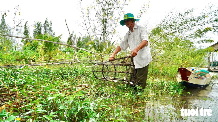 Trữ cá đồng, mở hướng làm du lịch, người dân thu hàng trăm triệu đồng - Ảnh 3.