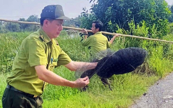 Siết hoạt động mua bán chim trên mạng, tăng cường phá bỏ bẫy để bảo vệ chim trời - Ảnh 3.