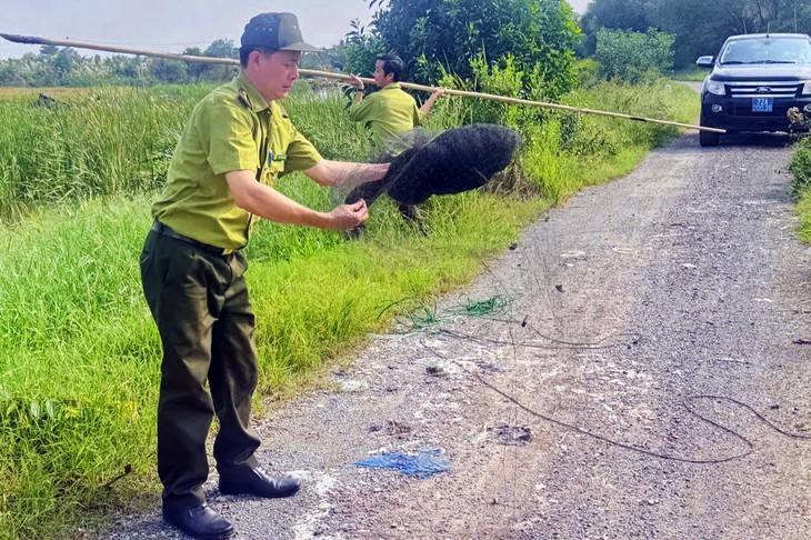 Kiểm lâm TP.HCM đã tháo gỡ 4.300m lưới giăng bẫy chim trời - Ảnh 1.