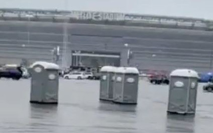  - Ảnh 1.