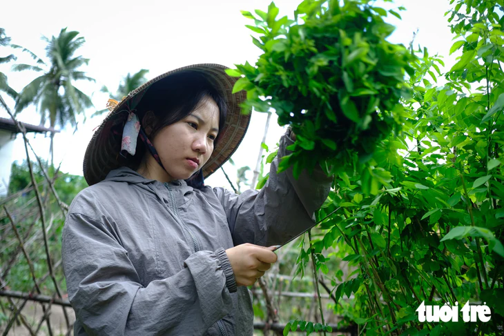 Nữ sinh Krông Pa bốc xếp hàng từ chiều tối đến tinh mơ, không còn cha mẹ, tự tiến vào đại học - Ảnh 3.