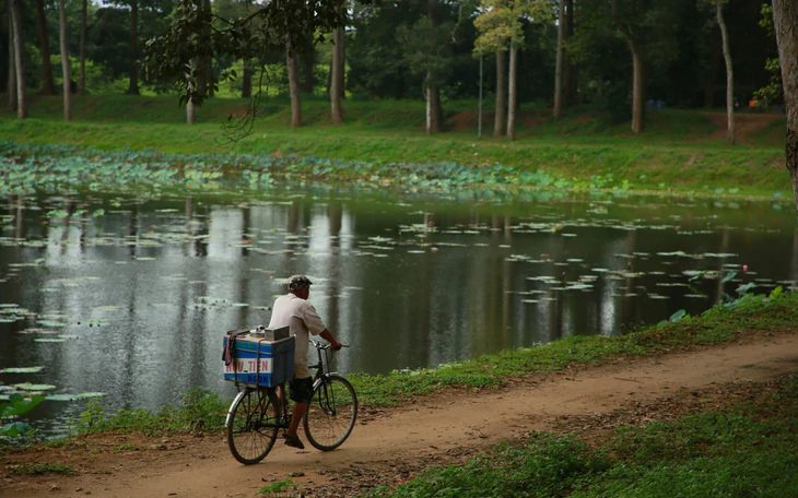 Phương Mỹ Chi - Ảnh 2.