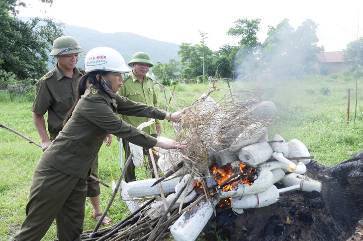 Siết hoạt động mua bán chim trên mạng, tăng cường thu giữ bẫy để bảo vệ chim trời - Ảnh 1.